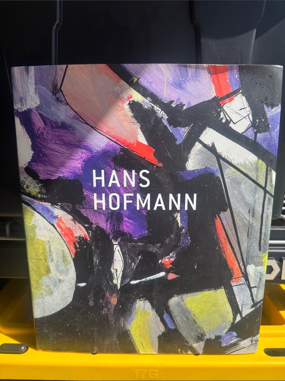 Hans Hofmann Art Book — hardcover